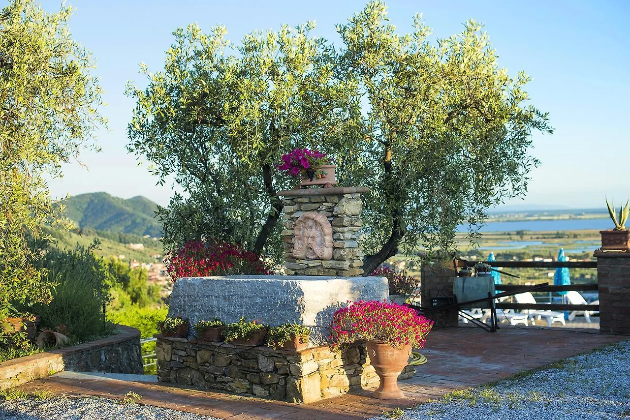 Villa La Pianella 马萨罗萨